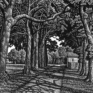 Wood Engravings by Howard Phipps from The Jerram Gallery, Sherborne, Dorset. Contemporary British pictures and sculpture