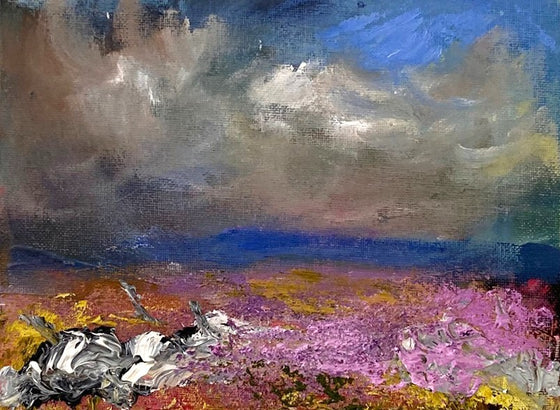 Summer Heather and Walls, North Yorkshire