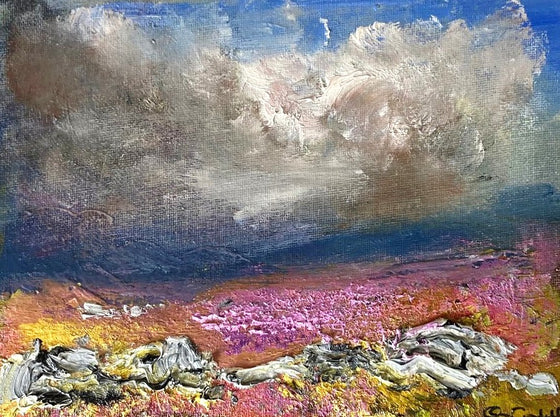 Walls and Heather Moorland, North Yorkshire