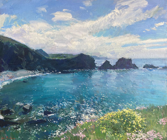 Clifftops with Spring Flowers