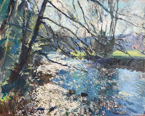 Winter Sunshine on the River Barle, Exmoor