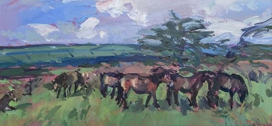 Exmoor Ponies