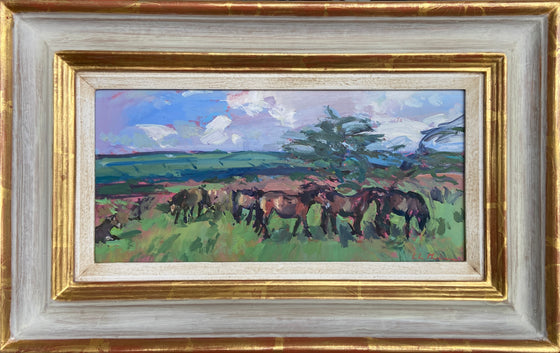 Exmoor Ponies
