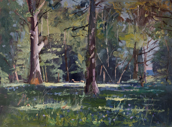 A Clearing in the Woods