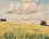 Blue Sky, Long Grass