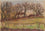 The House through the Trees