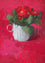 Red Primula