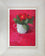 Red Primula