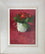 Red Primula