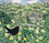 Spring Black Bird