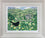 Spring Black Bird