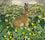 Hare, Catkins and Spring Flowers