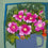 Wild Roses