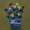 Pansies