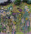 Summer Meadow Corner