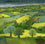Rape Fields