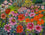 Late Summer Garden, Cosmos, Dahlia and Tithonia