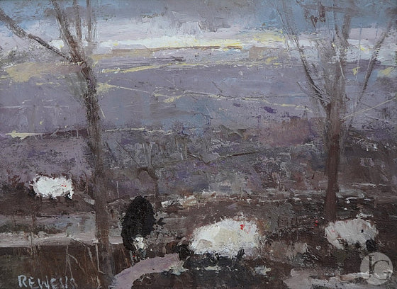 Moorland Sheep