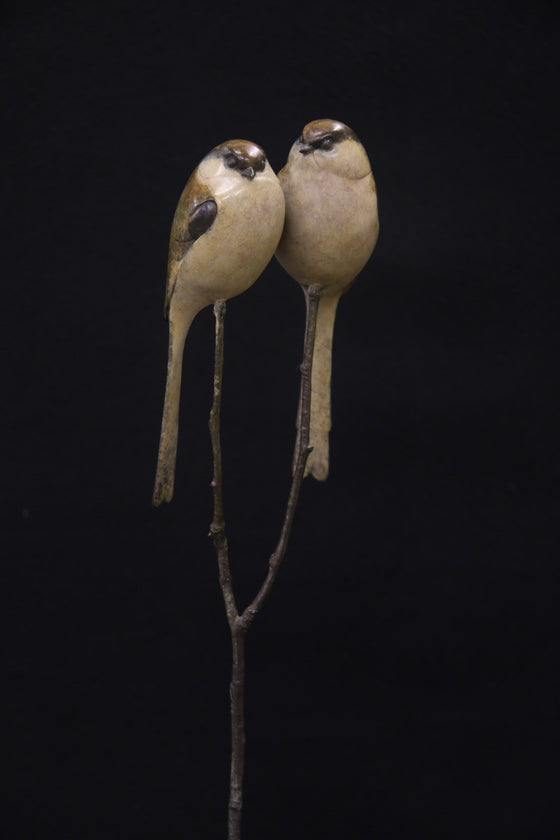 Pair of Long Tailed Tits