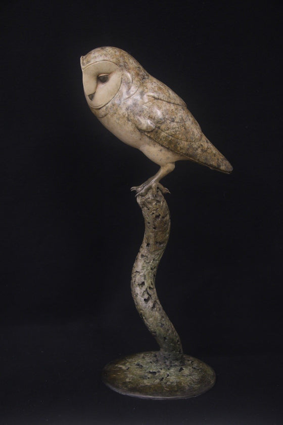Barn Owl