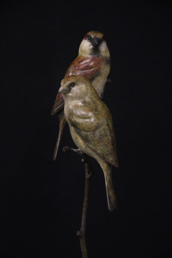 Pair of Sparrows