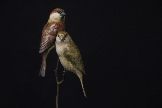 Pair of Sparrows
