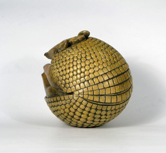 Armadillo