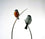 Bullfinches