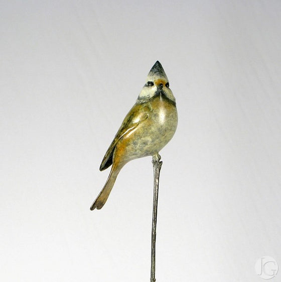 Crested Tit