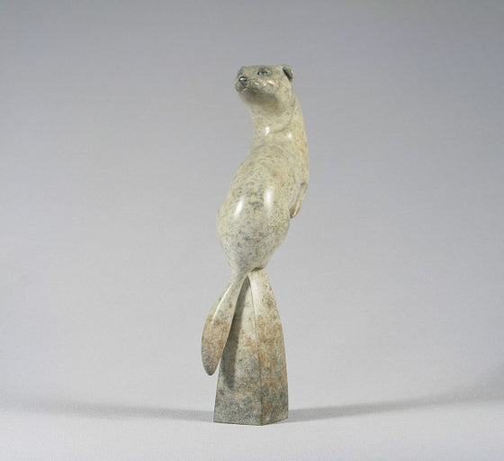 Ermine