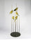 Five Greenfinches