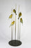 Five Greenfinches