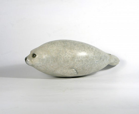 Harp Seal Pup