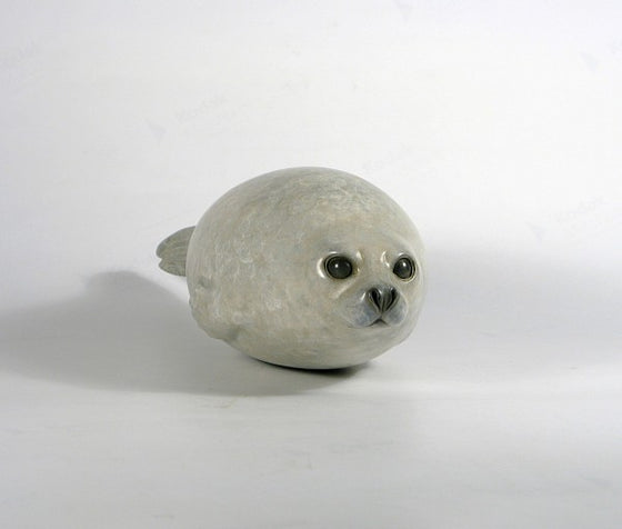 Harp Seal Pup