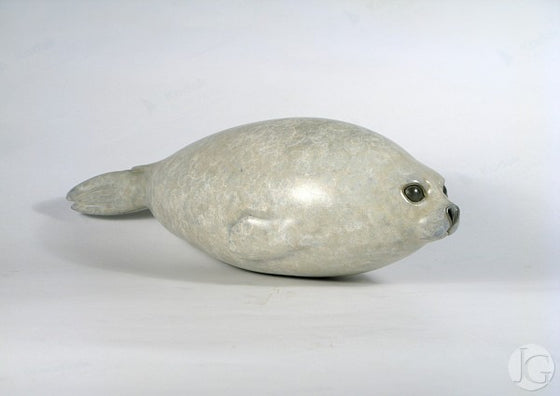 Harp Seal Pup