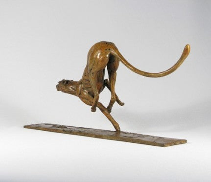 Running Cheetah