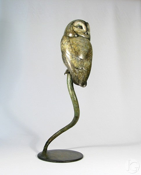Tawny Owl