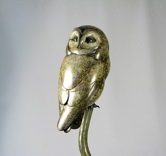 Tawny Owl