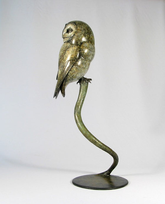 Tawny Owl