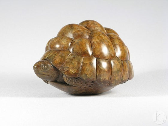 Tortoise