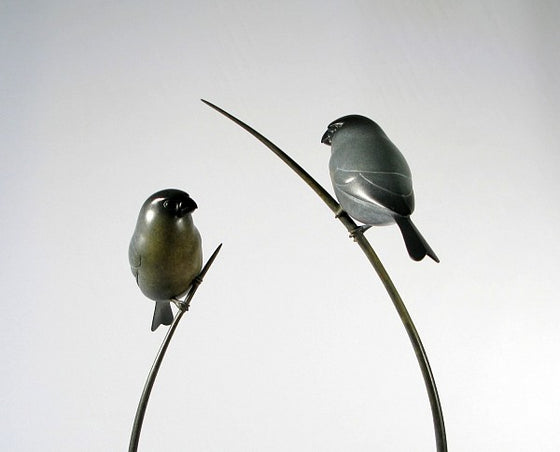 Bullfinches