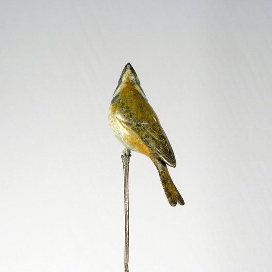 Crested Tit