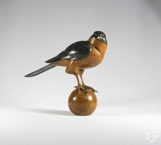 Sparrow Hawk