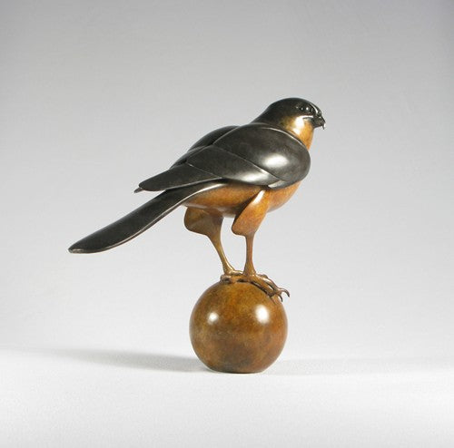 Sparrow Hawk