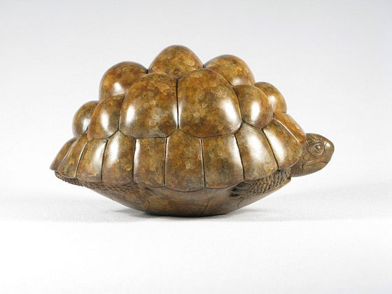 Tortoise