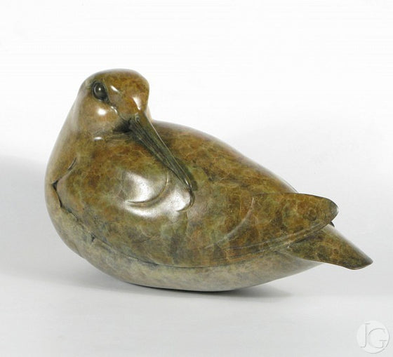 Woodcock