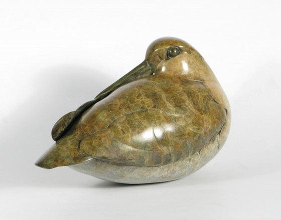 Woodcock