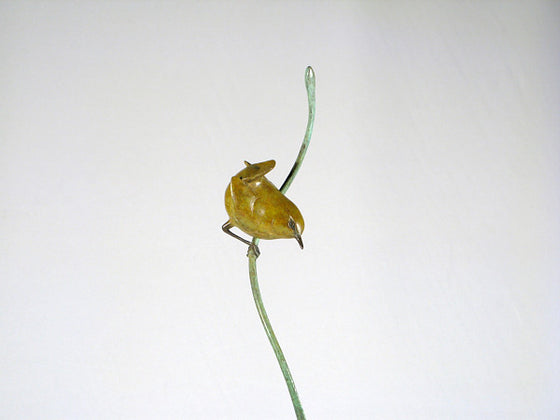 Wren