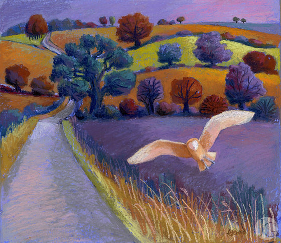Pink Owl Lane