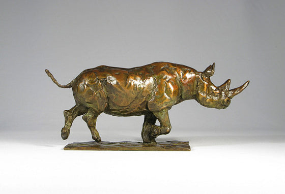 Charging Rhino II